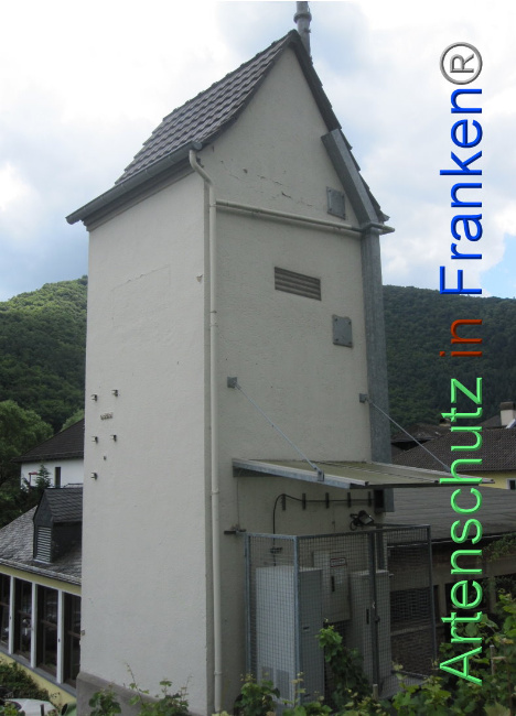 © Artenschutz in Franken® Bild zum Eintrag (1099397-160)