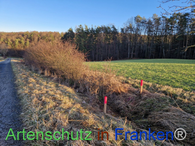 Bild zum Eintrag (1099465-160)