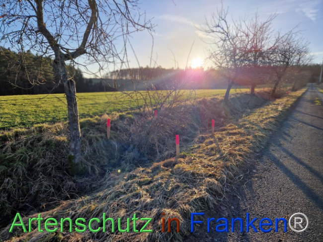 Bild zum Eintrag (1099467-160)