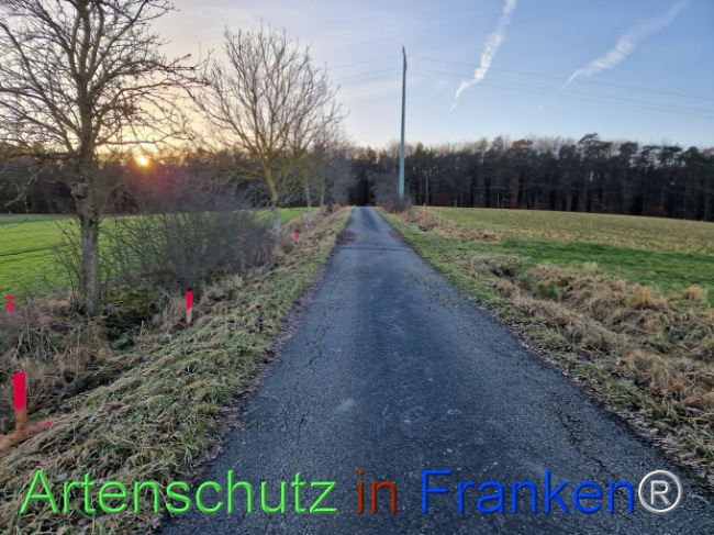 Bild zum Eintrag (1099473-160)