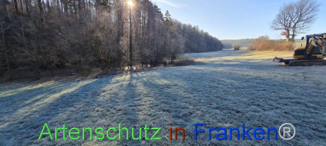 © Artenschutz in Franken® Bild zum Eintrag (1099682-160)
