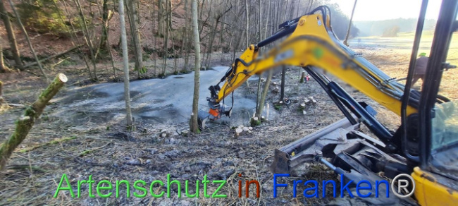 © Artenschutz in Franken® Bild zum Eintrag (1099686-160)
