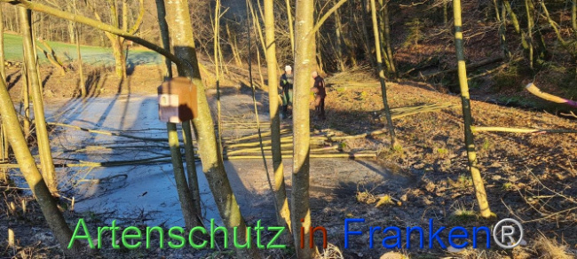 Bild zum Eintrag (1099694-160)