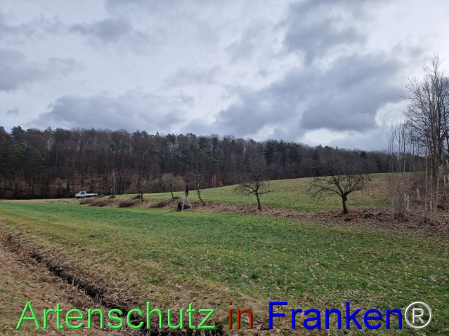 Bild zum Eintrag (1099725-160)