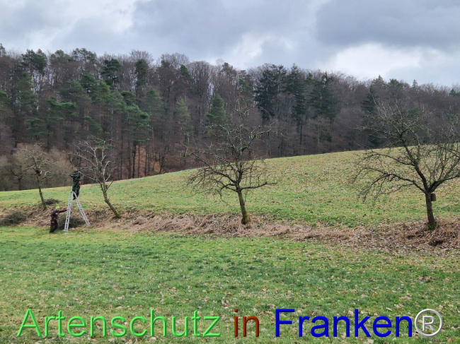 Bild zum Eintrag (1099728-160)