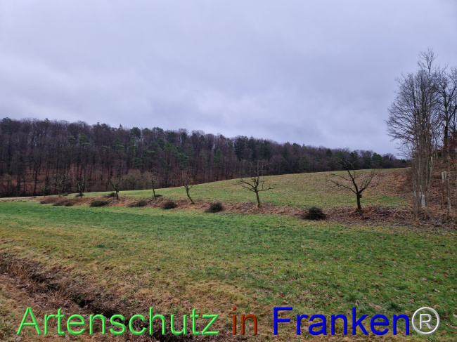 Bild zum Eintrag (1099729-160)