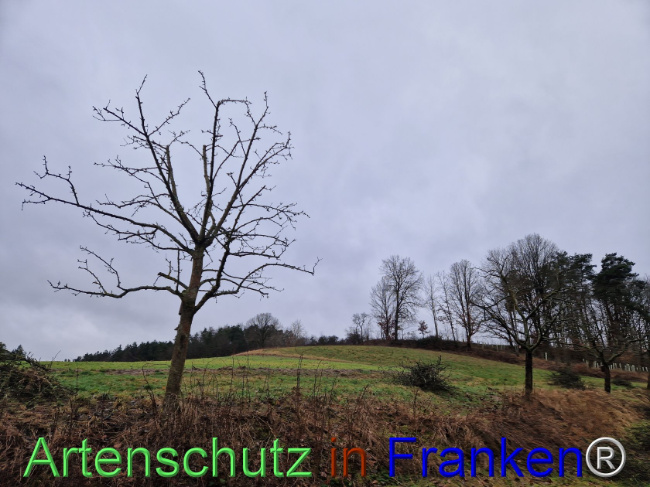 Bild zum Eintrag (1099731-160)