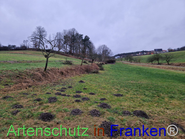 Bild zum Eintrag (1099732-160)