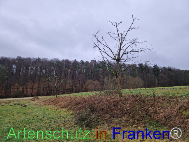 Bild zum Eintrag (1099733-160)