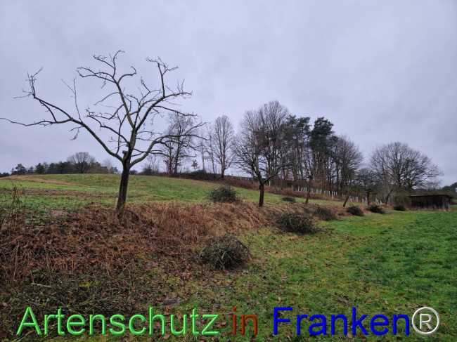 Bild zum Eintrag (1099735-160)