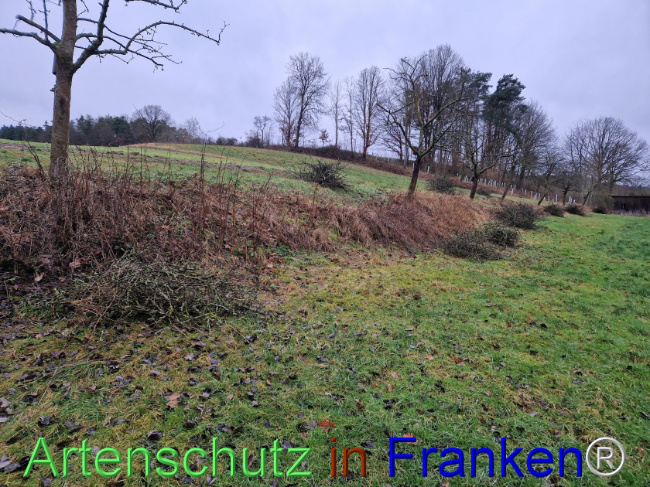 Bild zum Eintrag (1099736-160)