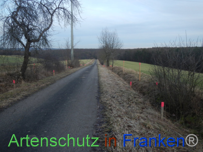 Bild zum Eintrag (1099967-160)
