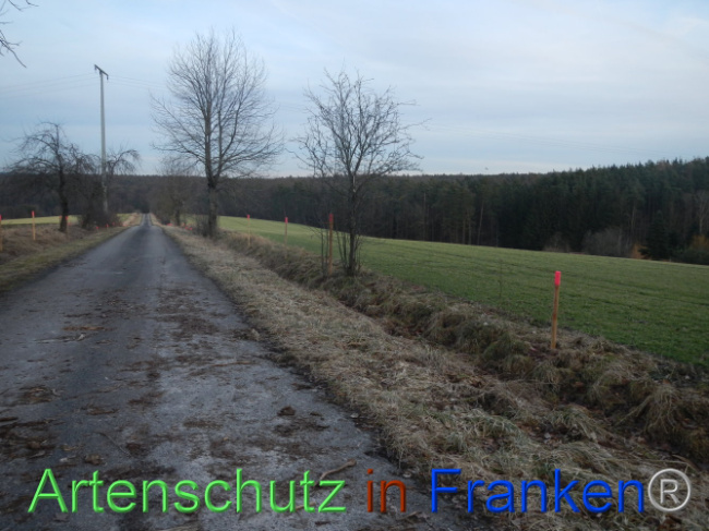 Bild zum Eintrag (1099970-160)