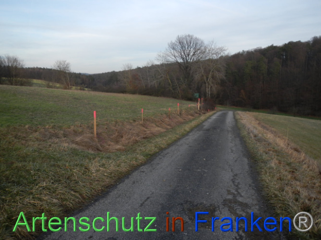 Bild zum Eintrag (1099971-160)