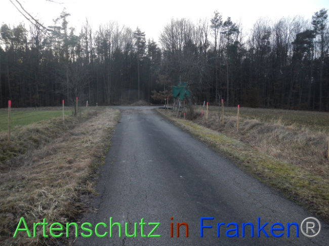 © Artenschutz in Franken® Bild zum Eintrag (1099978-160)