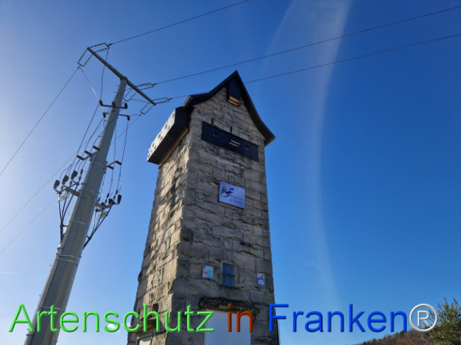 © Artenschutz in Franken® Bild zum Eintrag (1100042-160)