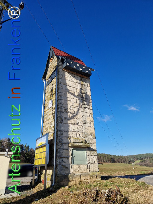 © Artenschutz in Franken® Bild zum Eintrag (1100043-160)