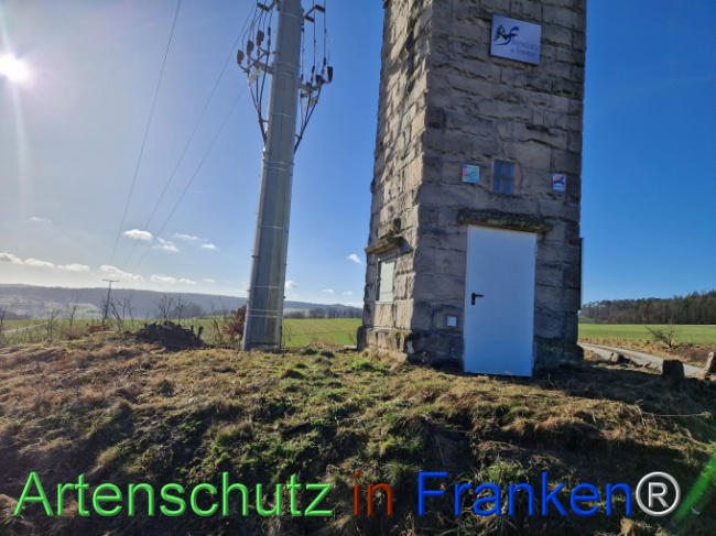 © Artenschutz in Franken® Bild zum Eintrag (1100052-160)