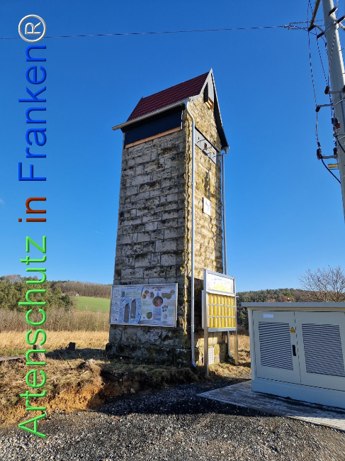 © Artenschutz in Franken® Bild zum Eintrag (1100054-160)
