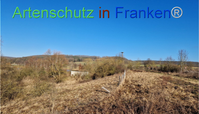 © Artenschutz in Franken® Bild zum Eintrag (1100066-160)