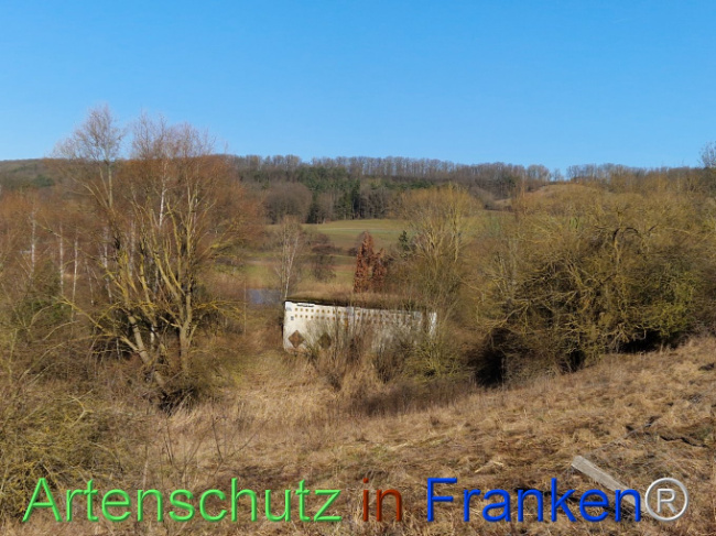 © Artenschutz in Franken® Bild zum Eintrag (1100080-160)