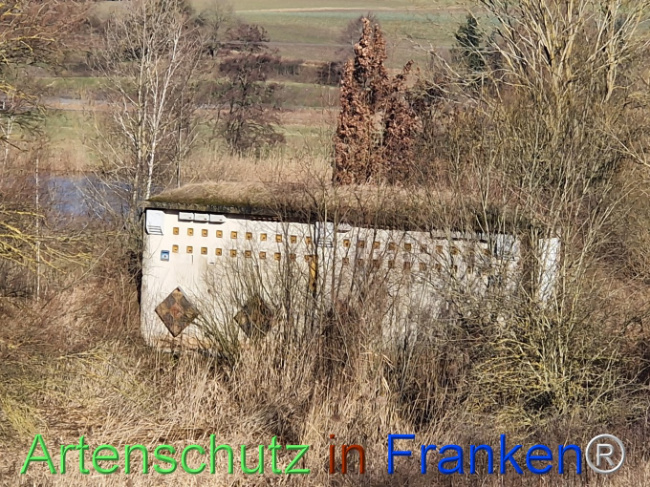 © Artenschutz in Franken® Bild zum Eintrag (1100081-160)