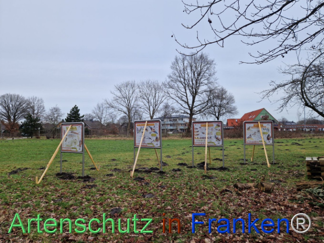 © Artenschutz in Franken® Bild zum Eintrag (1100213-160)