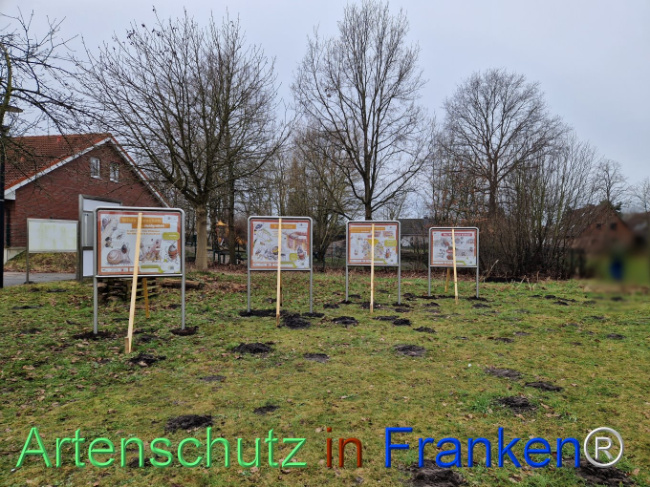 © Artenschutz in Franken® Bild zum Eintrag (1100214-160)