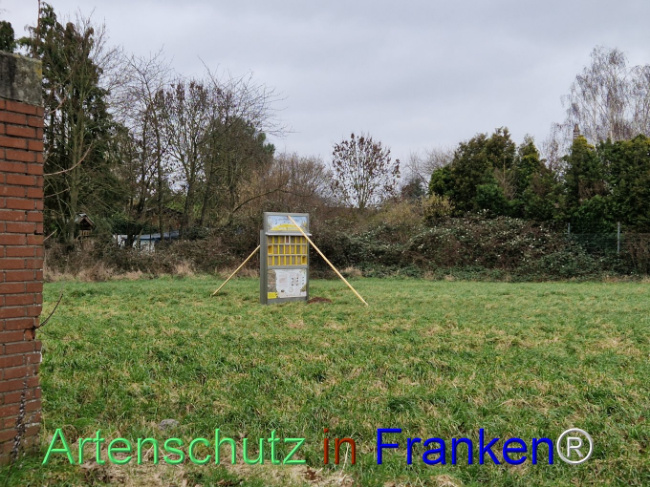 Bild zum Eintrag (1100253-160)