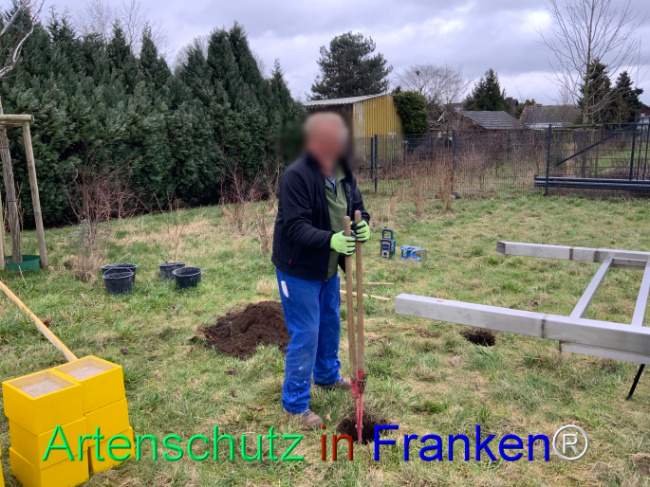Bild zum Eintrag (1100261-160)