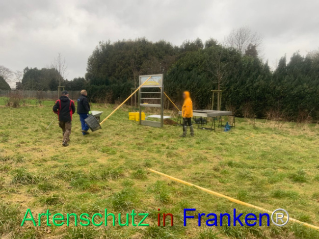 © Artenschutz in Franken® Bild zum Eintrag (1100267-160)