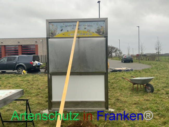© Artenschutz in Franken® Bild zum Eintrag (1100268-160)