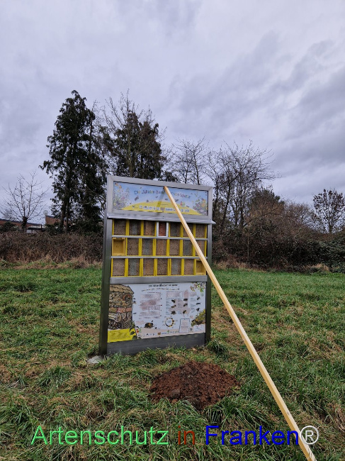 © Artenschutz in Franken® Bild zum Eintrag (1100269-160)