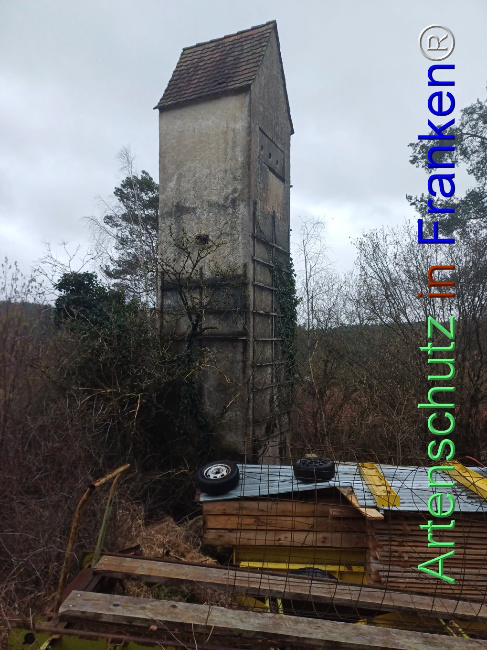 © Artenschutz in Franken® Bild zum Eintrag (1100331-160)
