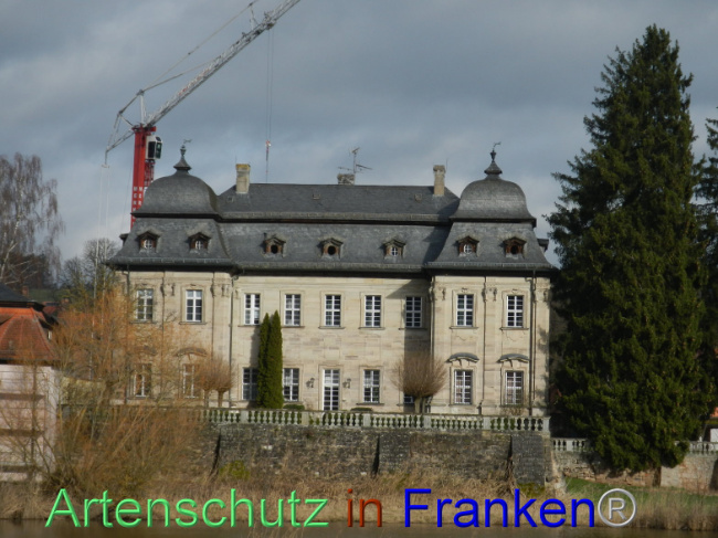 © Artenschutz in Franken® Bild zum Eintrag (1100829-160)