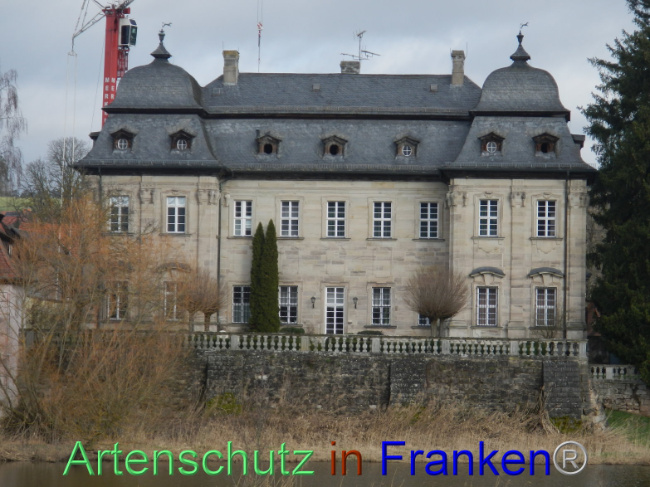 © Artenschutz in Franken® Bild zum Eintrag (1100833-160)