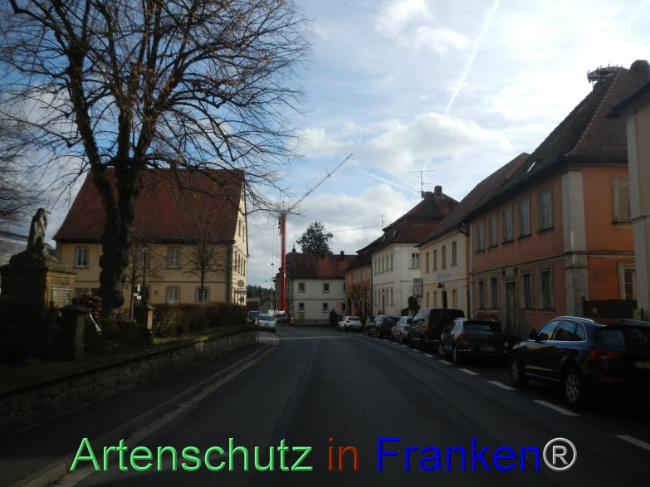 © Artenschutz in Franken® Bild zum Eintrag (1100844-160)