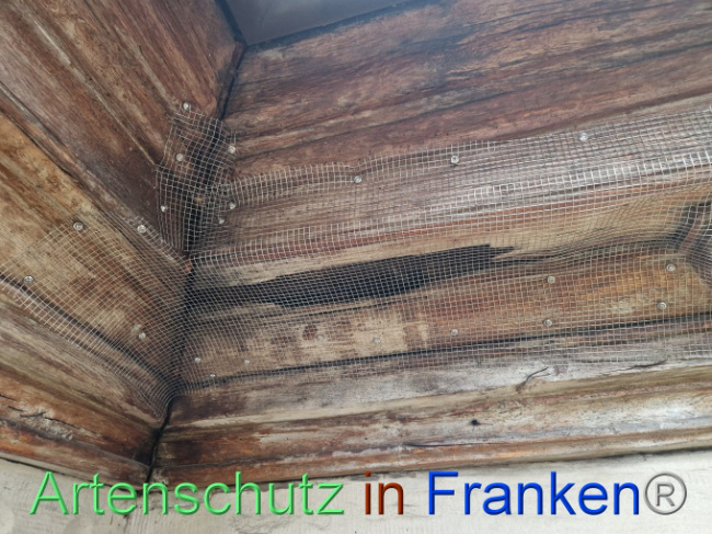 © Artenschutz in Franken® Bild zum Eintrag (1100974-160)