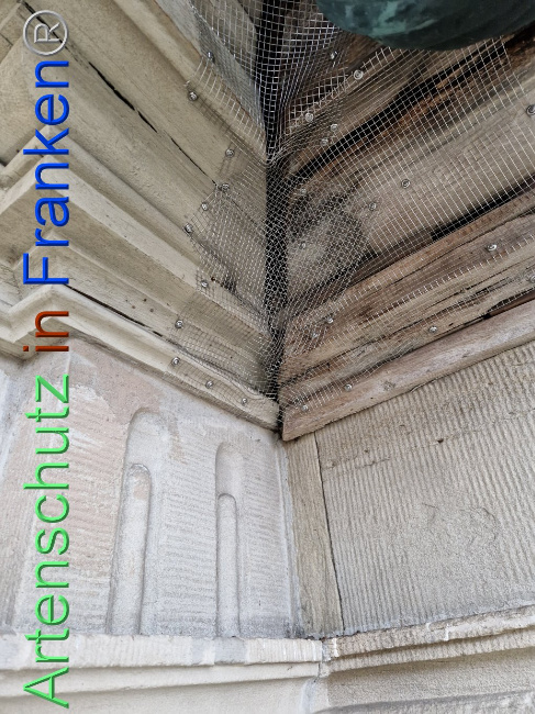 © Artenschutz in Franken® Bild zum Eintrag (1100976-160)