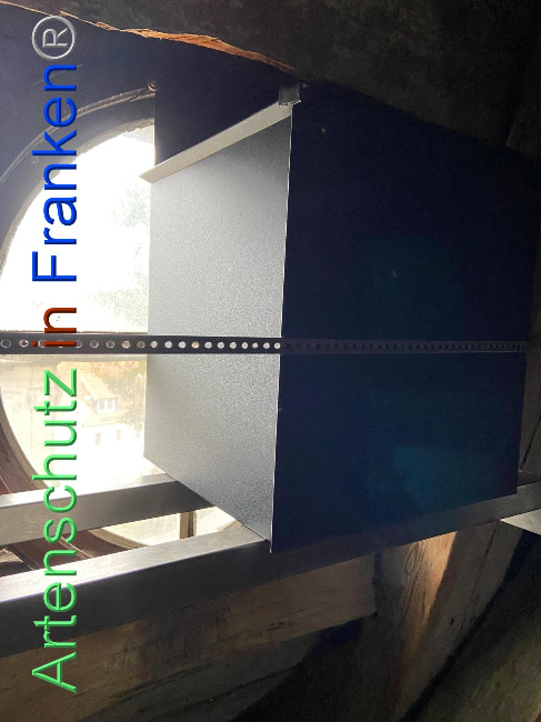 © Artenschutz in Franken® Bild zum Eintrag (1100985-160)