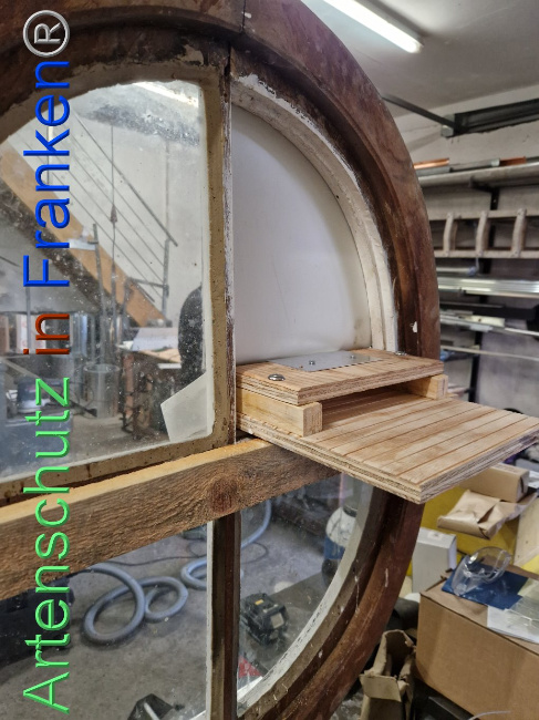 © Artenschutz in Franken® Bild zum Eintrag (1100991-160)
