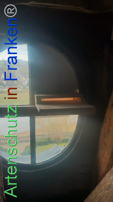 © Artenschutz in Franken® Bild zum Eintrag (1100999-160)