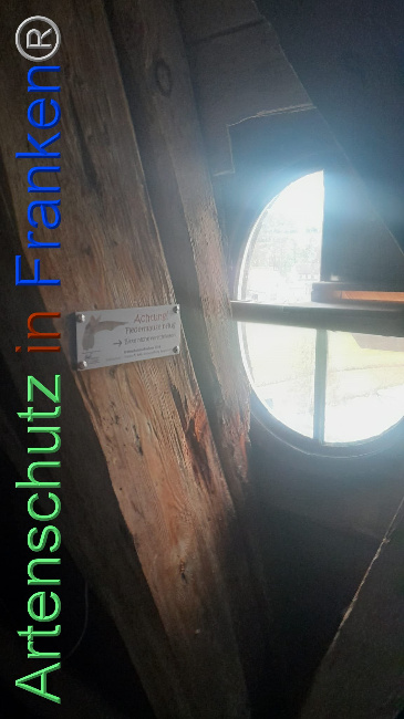 © Artenschutz in Franken® Bild zum Eintrag (1101000-160)