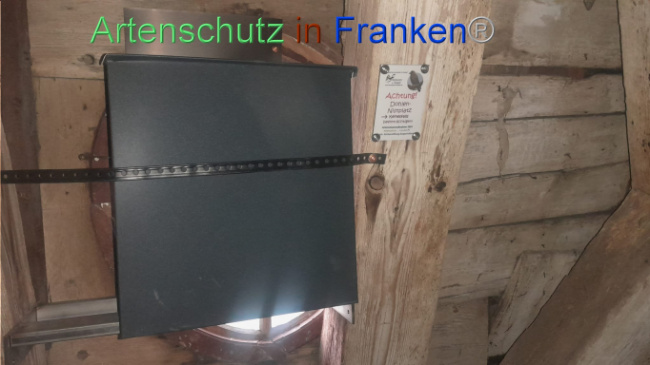 © Artenschutz in Franken® Bild zum Eintrag (1101003-160)