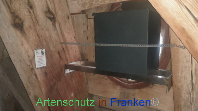 © Artenschutz in Franken® Bild zum Eintrag (1101004-160)