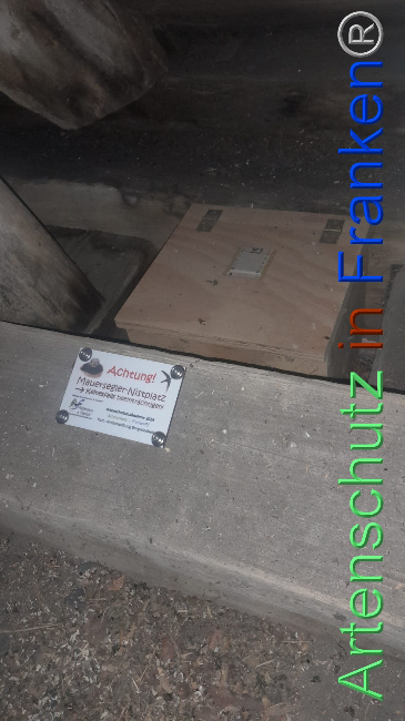 © Artenschutz in Franken® Bild zum Eintrag (1101005-160)