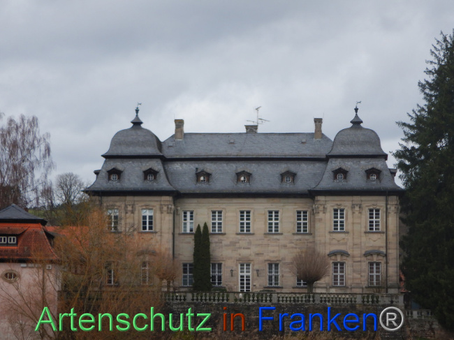 © Artenschutz in Franken® Bild zum Eintrag (1101017-160)
