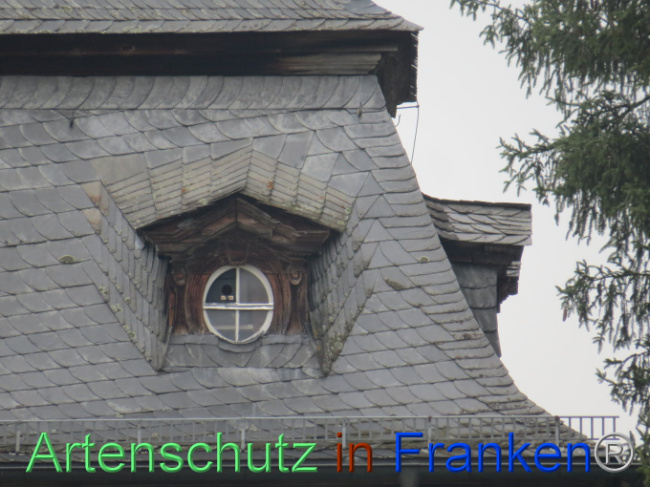 © Artenschutz in Franken® Bild zum Eintrag (1101019-160)