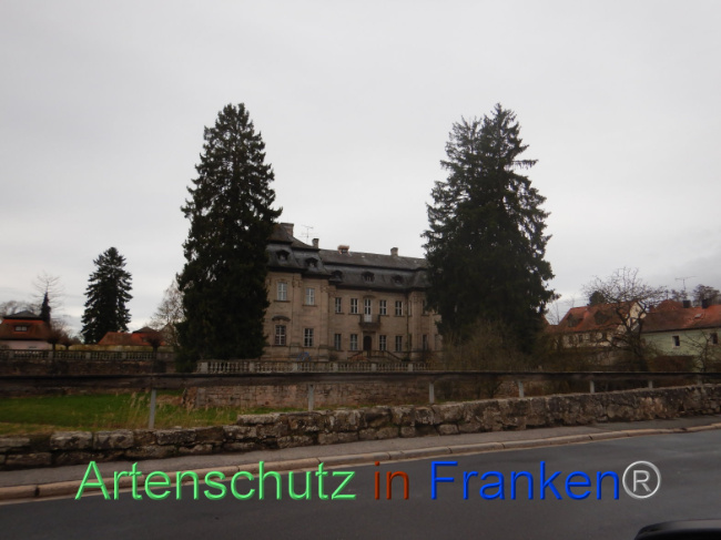 © Artenschutz in Franken® Bild zum Eintrag (1101031-160)
