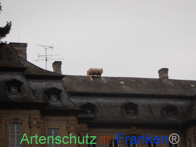 © Artenschutz in Franken® Bild zum Eintrag (1101032-160)